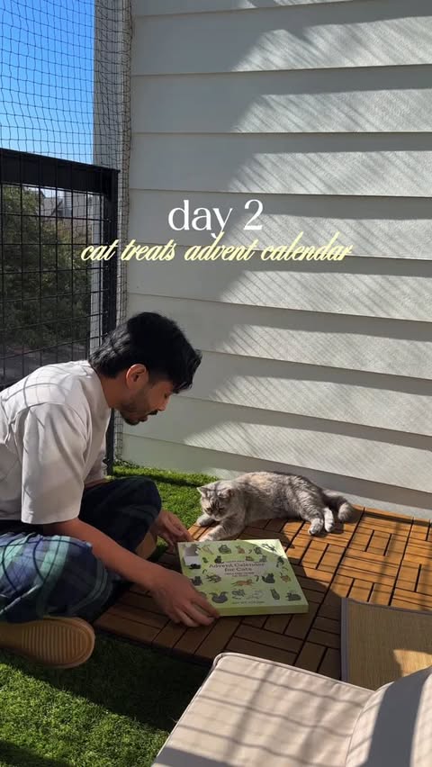 Instagram post by @domsayswhaaat for Trader Joe's. Caption reads: [...] for cabbage’s advent calendar from....