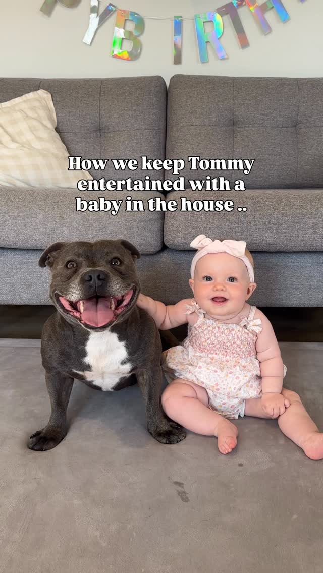 Instagram post by @tommybluestaff for Cheerble. Caption reads: Since his baby sister arrived, we try to include....