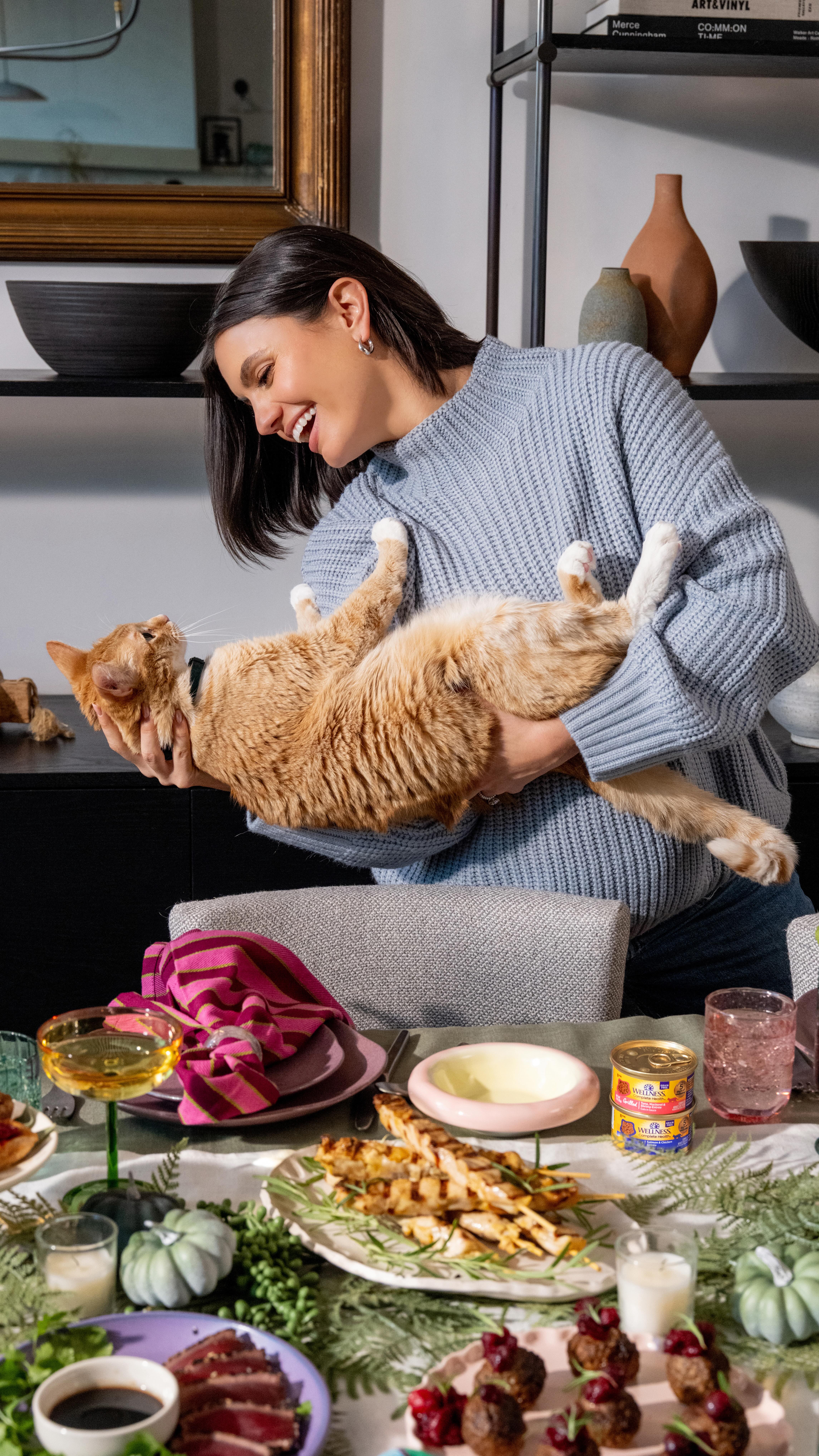 Instagram post by @hayley.erbert for Wellness Pet Food. Caption reads: At the heart of the season is togetherness! I’ve....