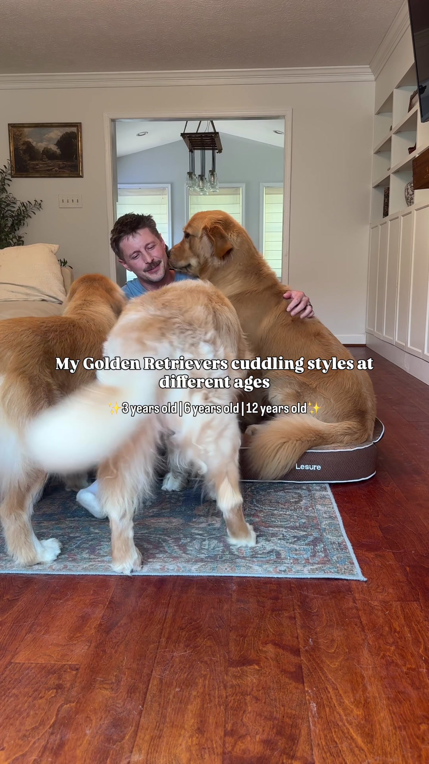 TikTok post by @nickandhisgoldens for Lesure Pet. Caption reads: Testing out cuddles in our new @Lesure Pet....