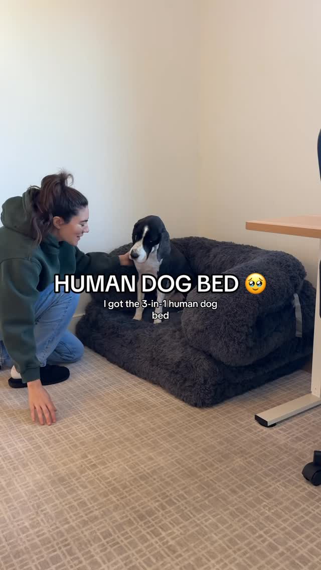 Instagram post by @myboyrudder for Lesure Pet. Caption reads: Soaking up all the quality time I can get with....