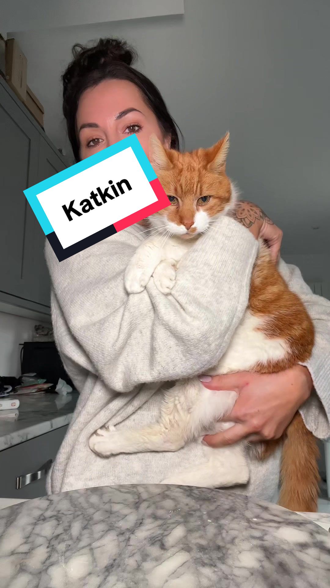 TikTok post by @janinekxxxx for KatKin. Caption reads: My cats never skip the meal time from @KatKin.Club....