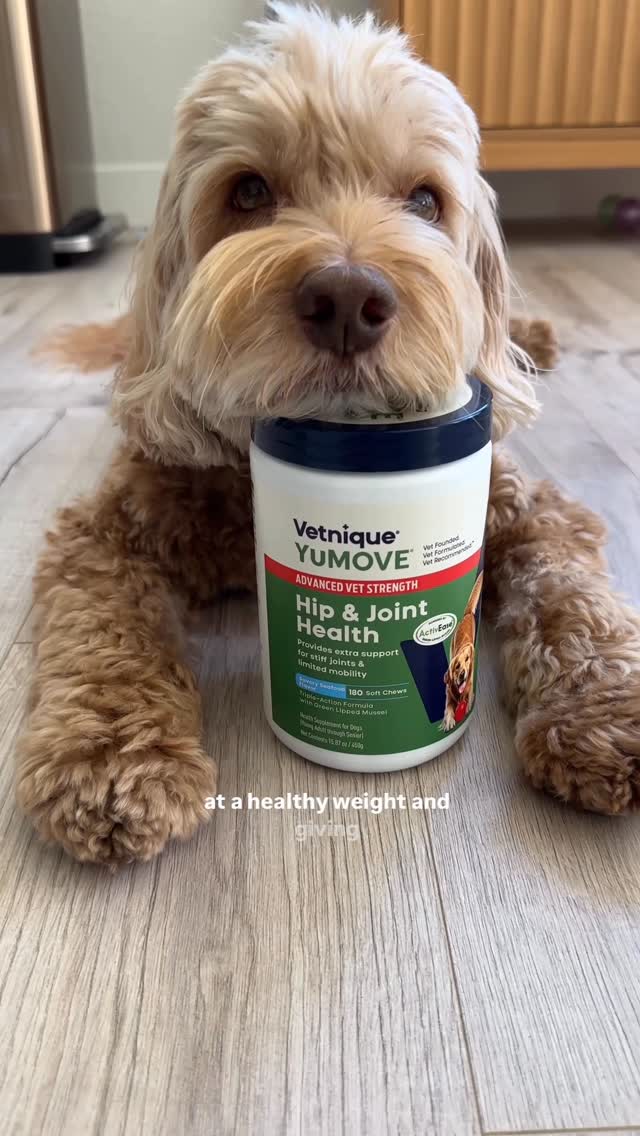 Instagram post by @sampson_the_dood for Vetnique. Caption reads: [...] looked this good thanks to YuMOVE by....
