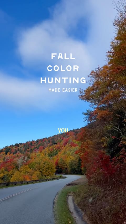 Instagram post by @catescompass for AllTrails. Caption reads: [...] #ad The new fall foliage map that @alltrails....