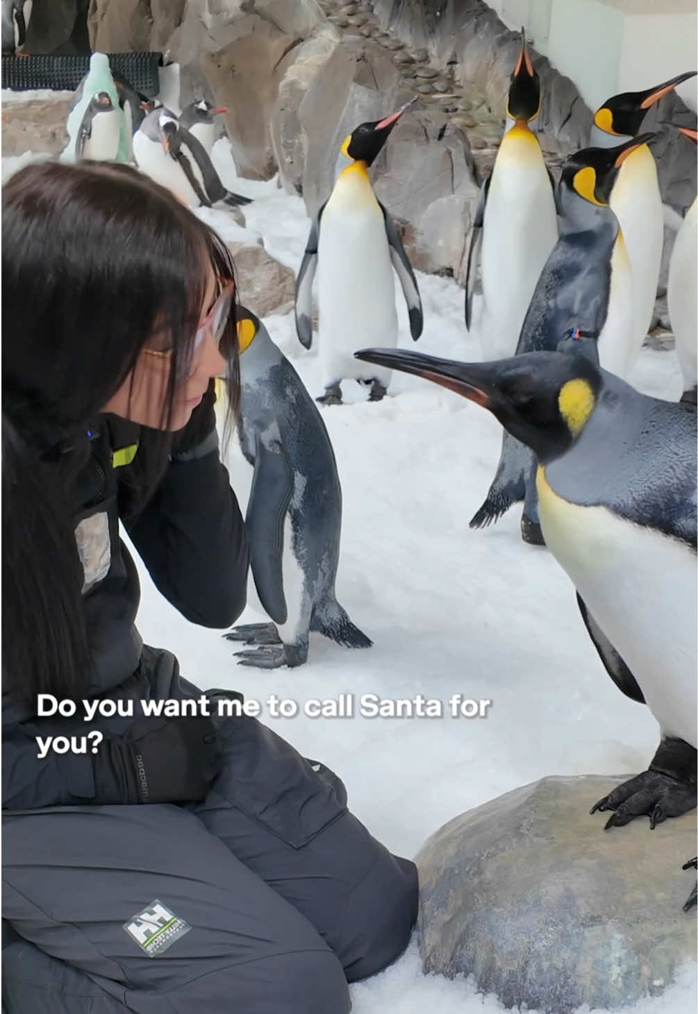 TikTok post by @sealifemelbourneaquarium for Telstra. Caption reads: 🐧🚨PESTO CALLS SANTA🚨🐧 💃 With the help of our....