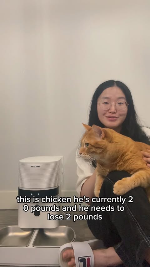 Instagram post by @orange_tabby_chicken for PETLIBRO. Caption reads: [...] really important in our routine. The....