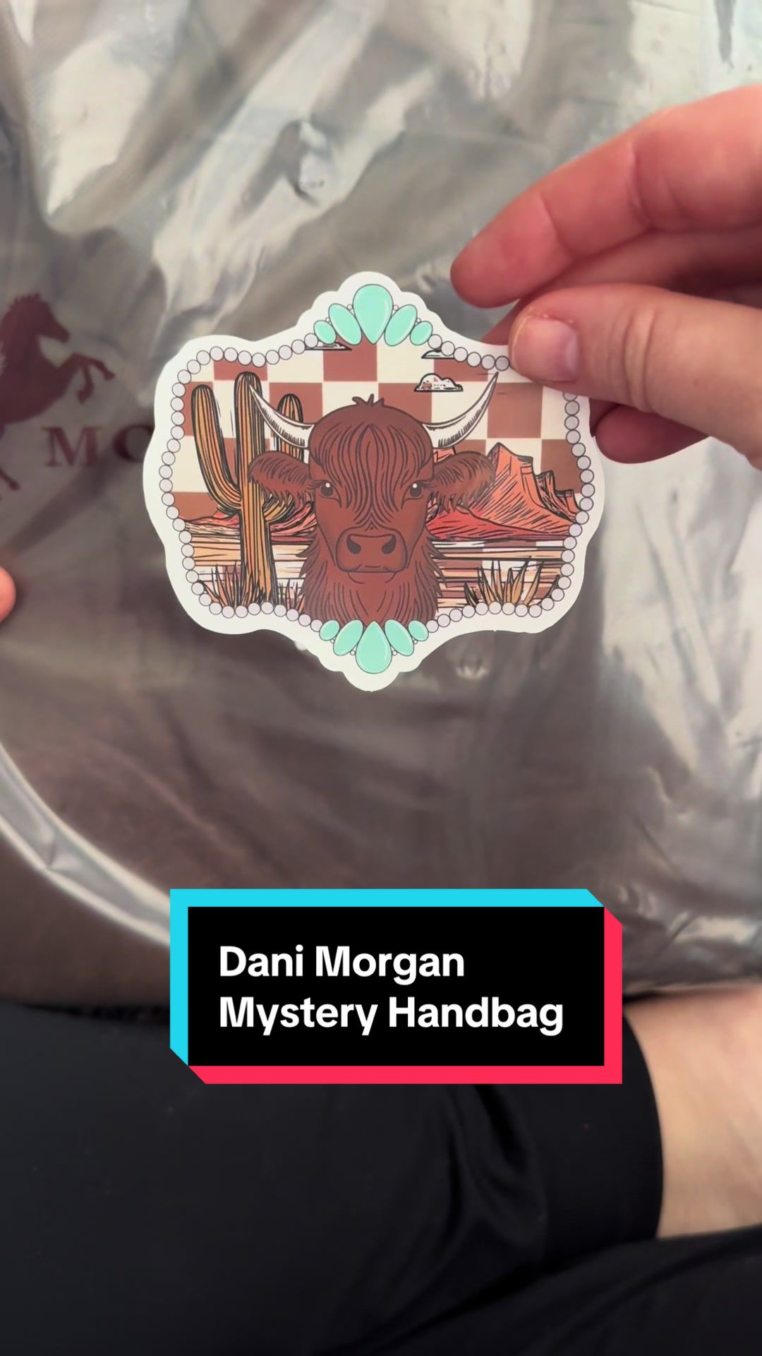 TikTok post by @alee1228 for Dani Morgans. Caption reads: @Dani Morgan’s Boutique Another mystery handbag....
