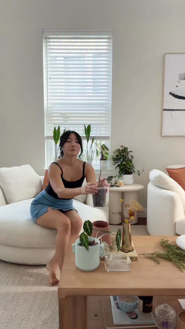 Instagram post by @ohtheplacesyoull_grow for Miracle-Gro. Caption reads: [...] you need to grow a garden with MiracleGro....