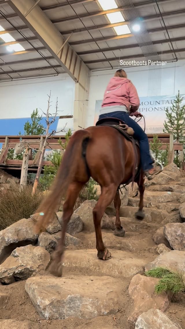Instagram post by @doublezfarm for Scoot Boots. Caption reads: [...] trail course if it weren’t for her....