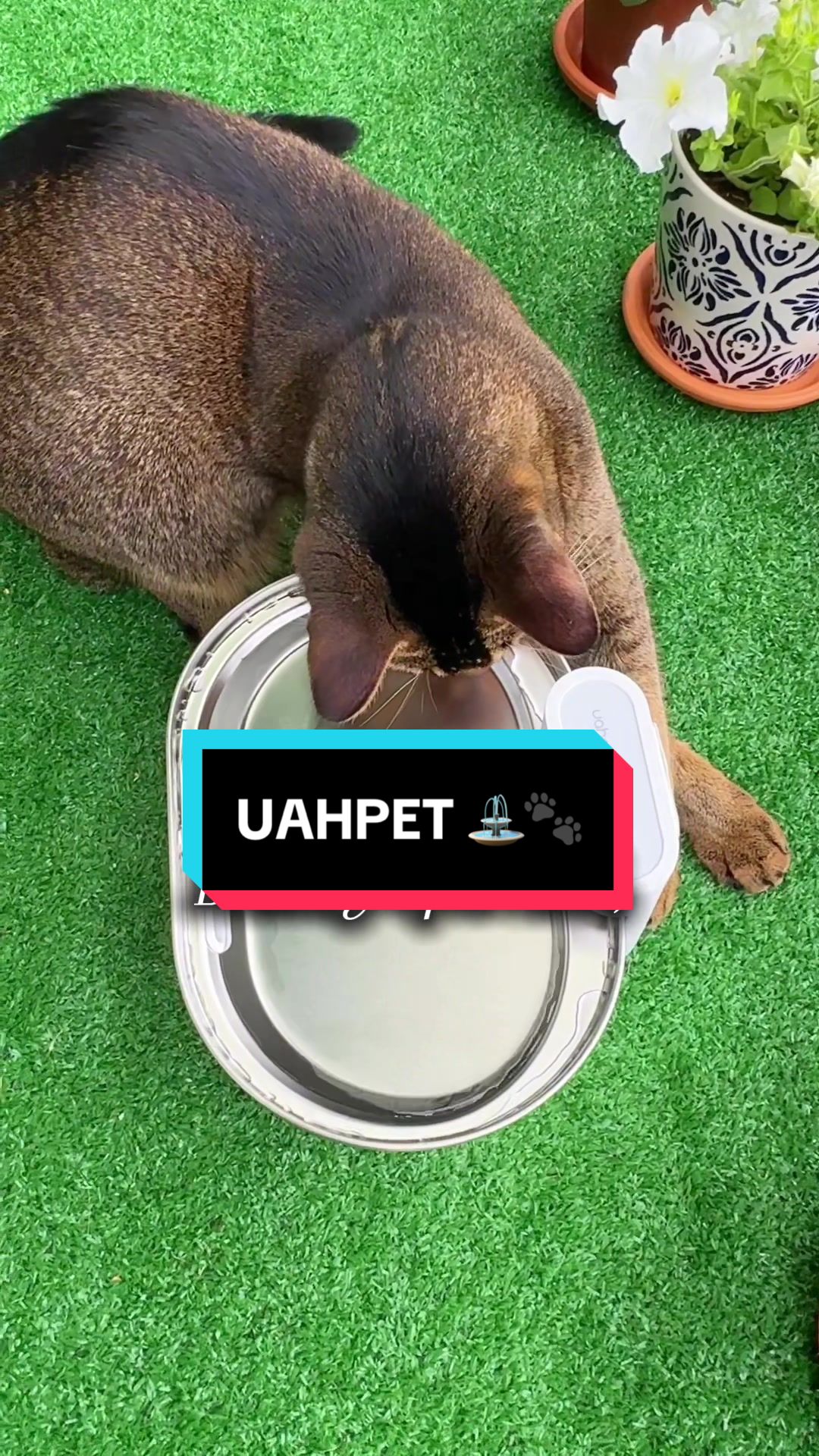 TikTok post by @leo.and.luca for Uahpet Shop US. Caption reads: We are LOVING this @Uahpet Shop US Wireless....