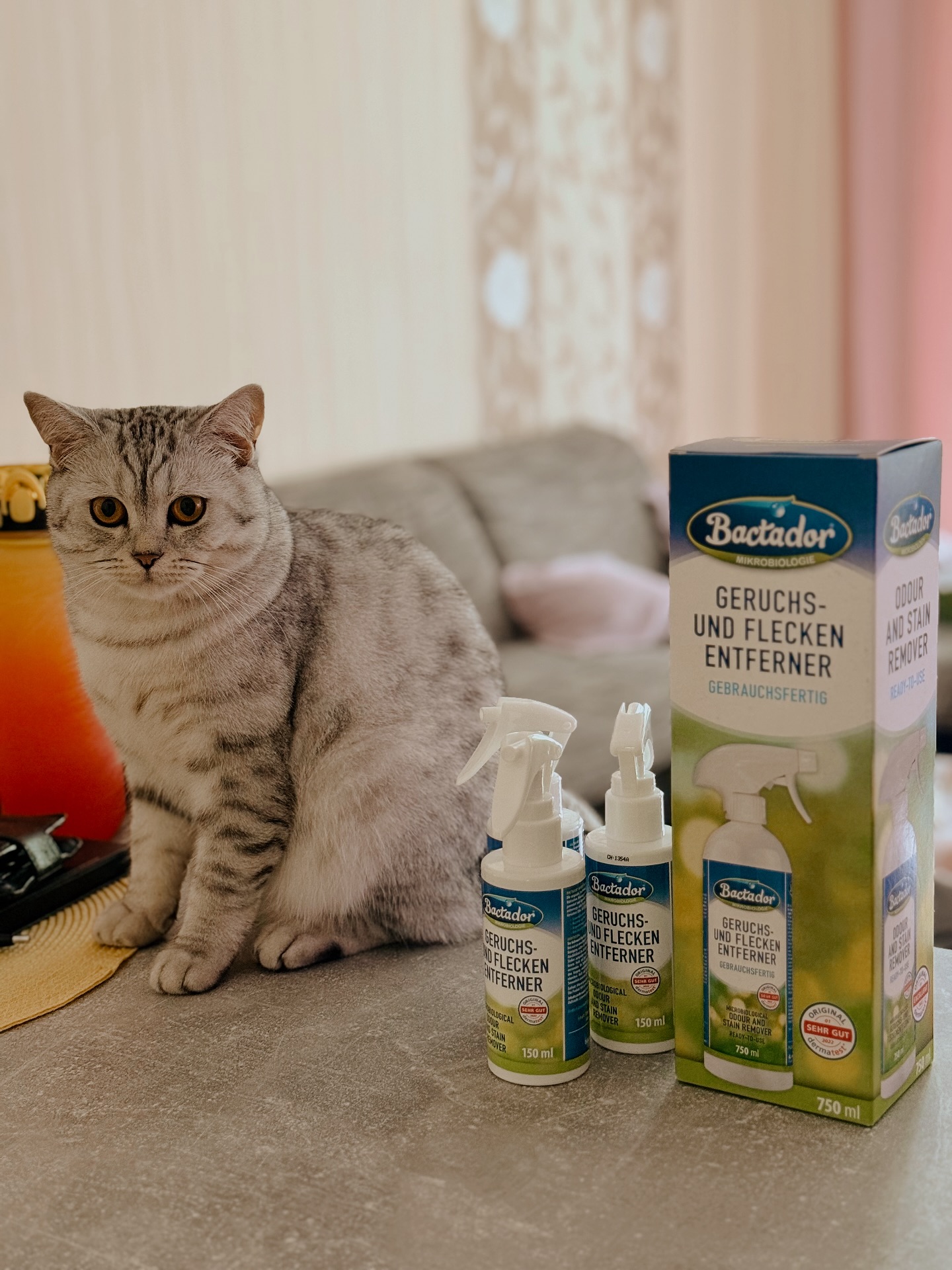 Instagram post by @marin_chek_ for Konsumgoettinnen. Caption reads: {𝐀𝐧𝐳𝐞𝐢𝐠𝐞} 

🐾 Tierliebe trifft....