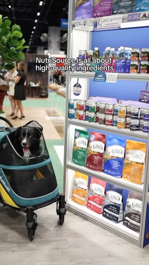 Instagram post by @curedbydogs for NutriSource Pet Foods. Caption reads: [...] love visiting the @nutrisourcepetfoods booth....