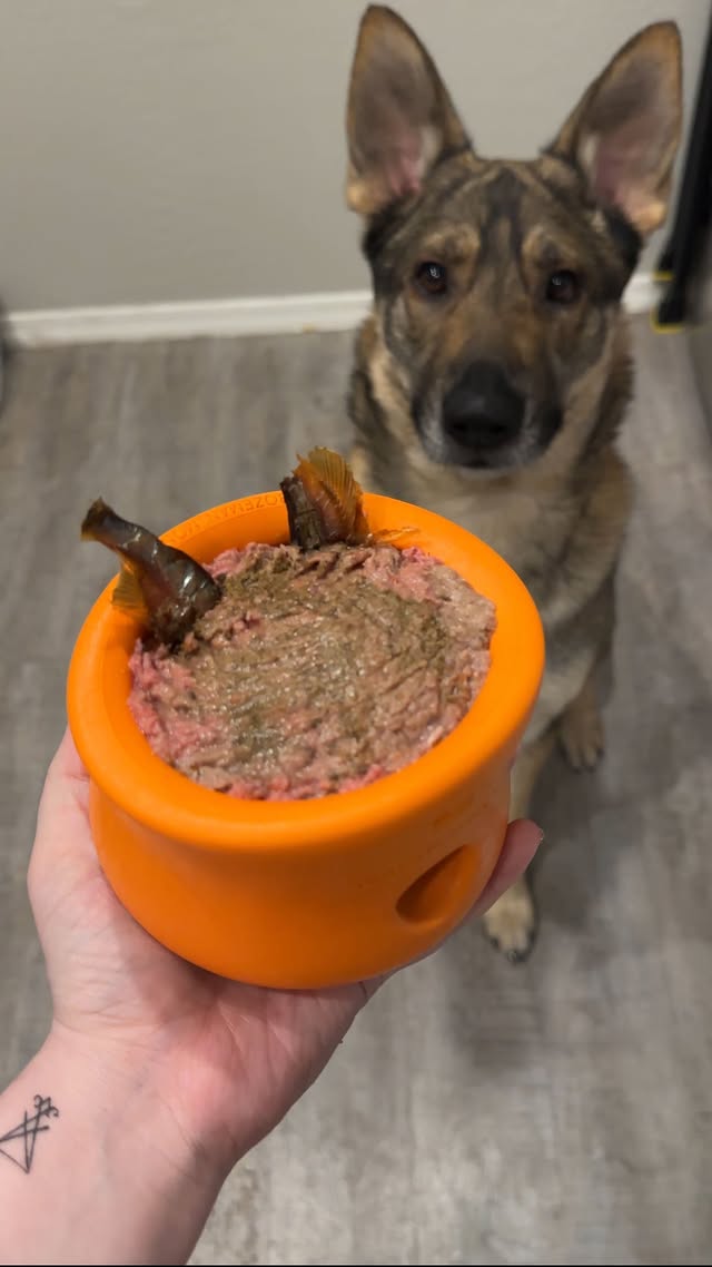 Instagram post by @demon.dog.duo for Viva Raw. Caption reads: Making my dog a toppl with some of our new treats....