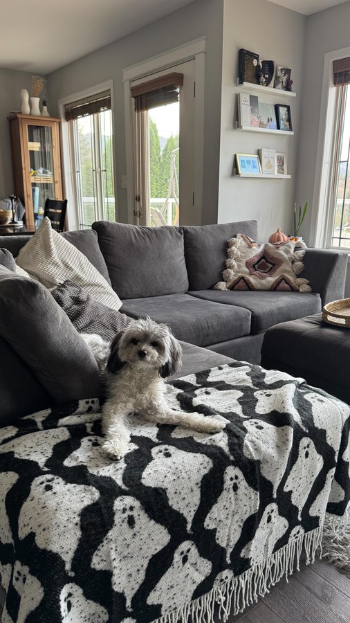 Instagram post by @paigerpalooza for Tru Earth. Caption reads: [...] like Autumn 🍂 

I’m in love with....