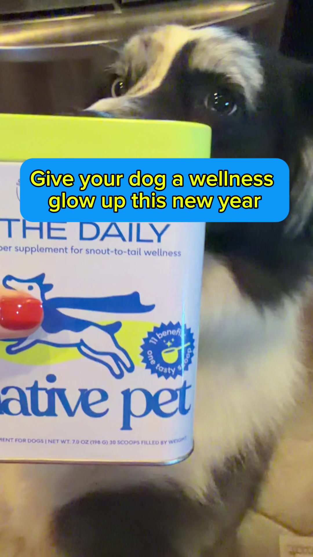 TikTok post by @lifeoflexi_gsd for Native Pet. Caption reads: Native Pet’s the daily supports 11 [...].
