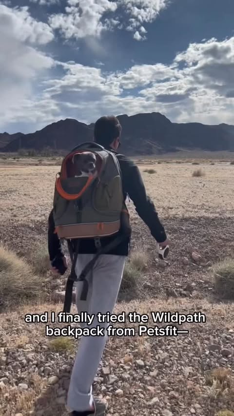 Instagram post by @ravioli.linguini for Petsfit. Caption reads: The Wildpath backpack was a game changer. We....