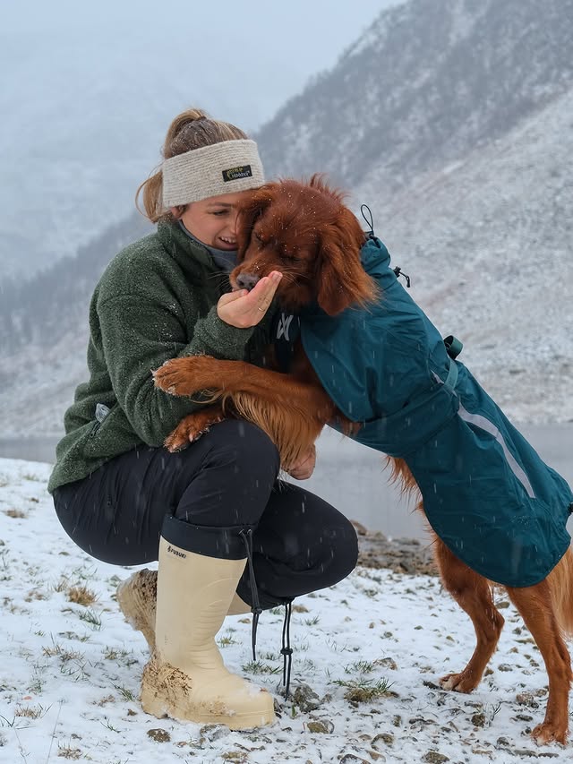 Instagram post by @sar.retrievers for Astrid Wild. Caption reads: [...] produkt: @nonstopdogwear....