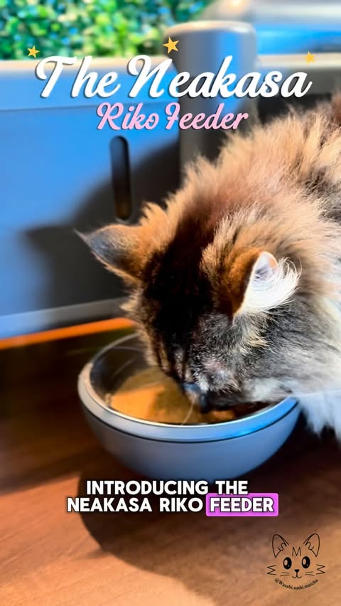Instagram post by @wasabi.sushi.matcha for Neakasa. Caption reads: [...] automatic feeder for cat parents! 🐱 Neakasa....