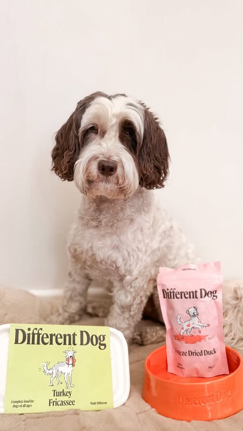 Instagram post by @poppy_n_basil for Different Dog. Caption reads: [...] is as delicious and nutritious as....