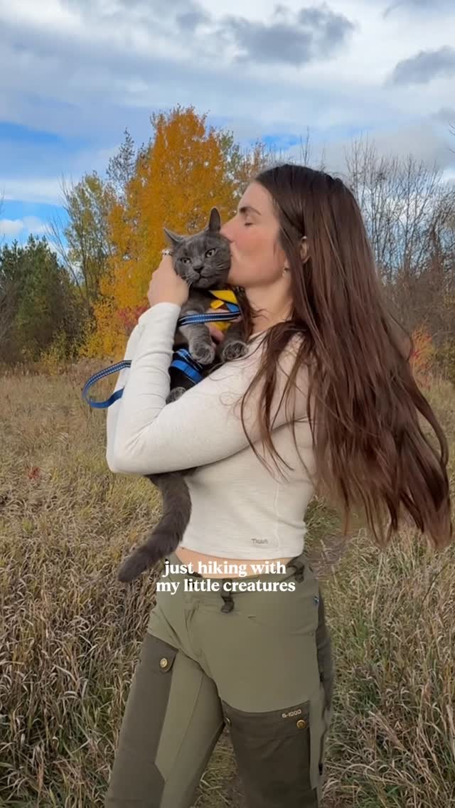 Instagram post by @feespaack for Petsfit. Caption reads: nothing beats some forest time with my favourites....