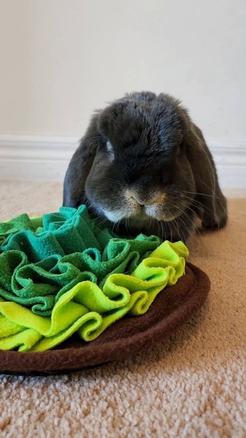 Instagram post by @bluberrythebun for Oxbow Animal Health. Caption reads: Build Blueberry's snuffle mat with me! We use a....