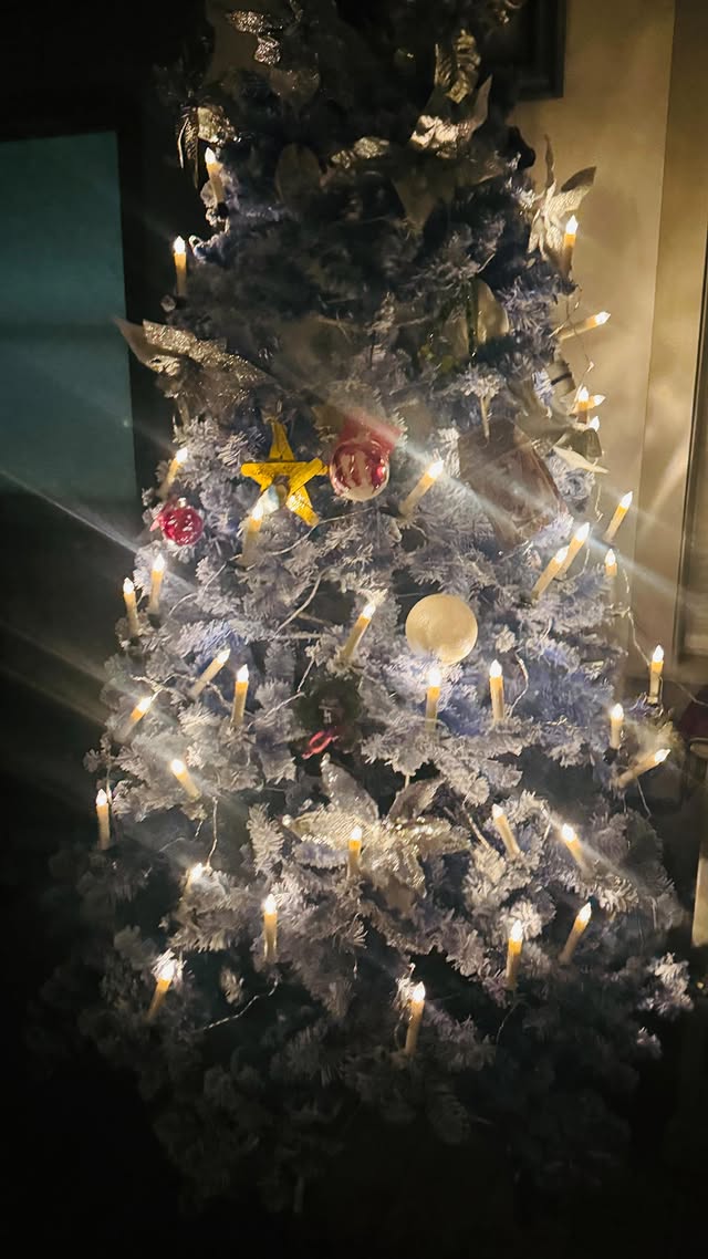 Instagram post by @mrs.queenie.bee for Ornament Anchor. Caption reads: [...] #pr 20% off code: HG6021BEST Ornament Anchor....