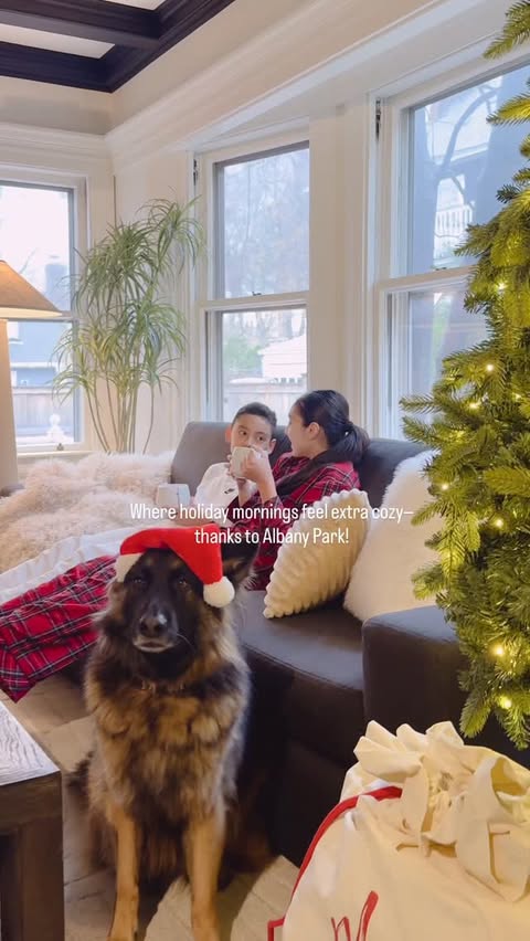 Instagram post by @kasiascreativespaces for Albany Park. Caption reads: Albany Park, hot cocoa, and Christmas lights…....