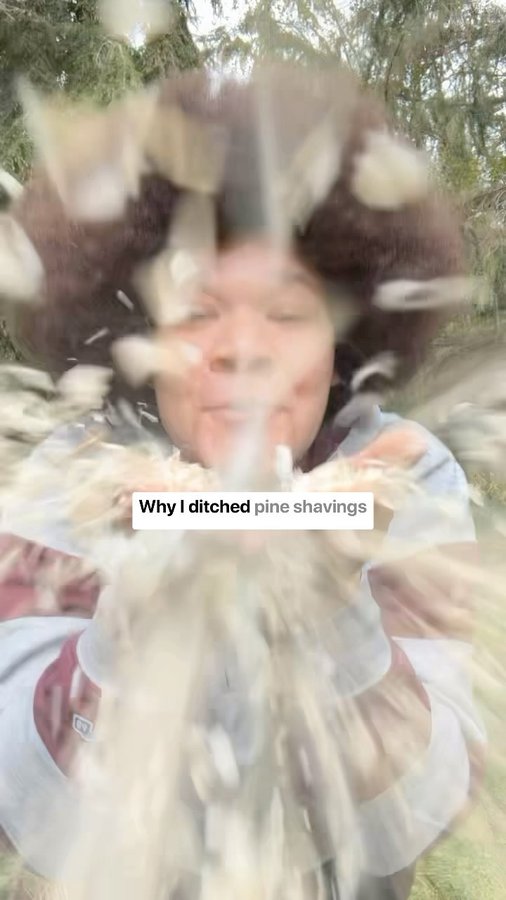 Instagram post by @chickenchaserbri for Grubbly Farms. Caption reads: [...] pine for hemp bedding🐓 Benefits of....