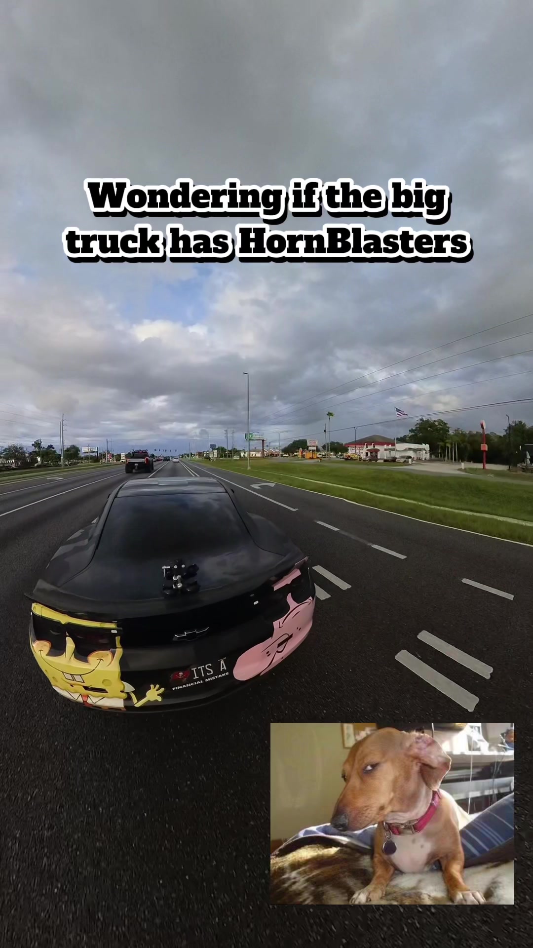 TikTok post by @_evil_ss_ for Hornblasters. Caption reads: [...] check out the TikTok shop tagged 👆....