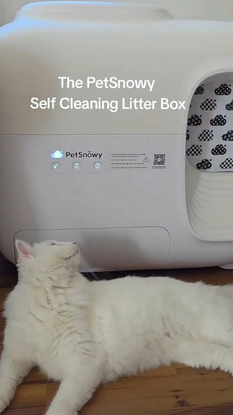 Instagram post by @fulltimesweety for PetSnowy. Caption reads: #AD
I partnered with PetSnowy to introduce their....