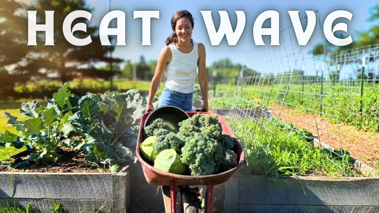YouTube post by @morethanfarmers for Drink LMNT. Caption reads: GIANT Harvest + PRESERVING (easy foods to store....