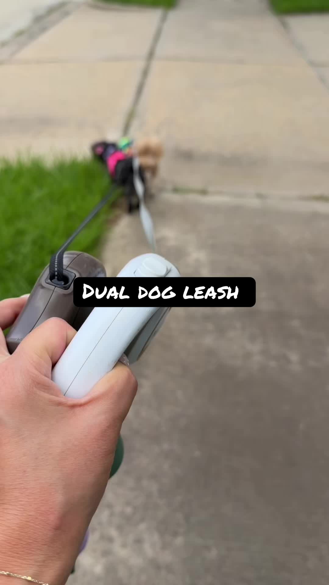 TikTok post by @alexandraryoo for iYoShop. Caption reads: @iYoShop US does dual dog leash is everything and....
