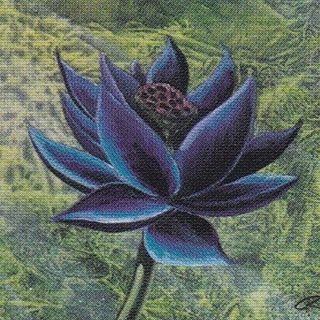 Magic: The Gathering