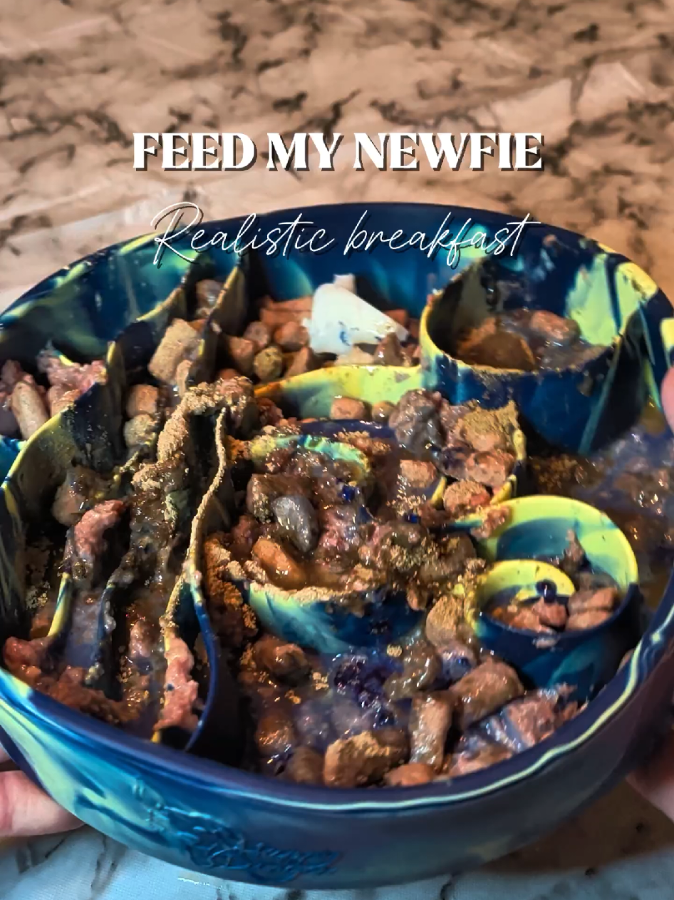 TikTok post by @ellie_marsellus_jules for Vital Essentials. Caption reads: [...] discount in bio @Viva Raw | ELLIE @Vital....