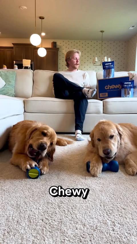 Instagram post by @benny_and_remy for Chewy. Caption reads: #ChewyPartner 150,000 5 star reviews, always [...].