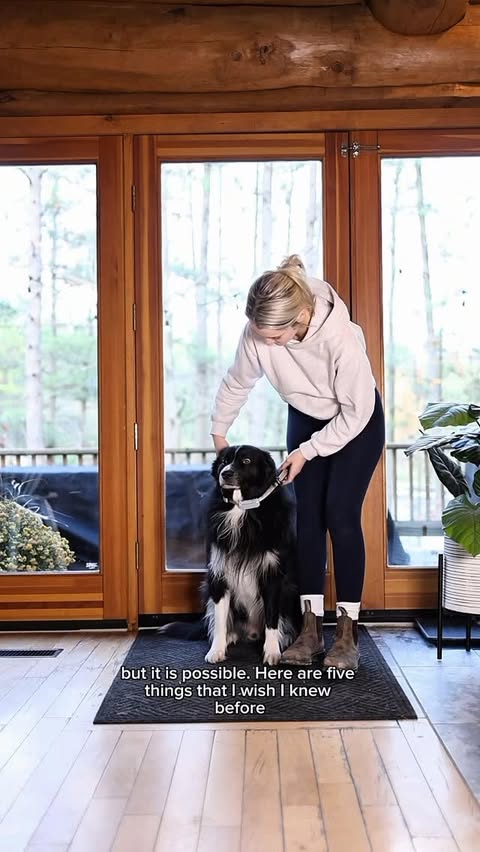 Instagram post by @curedbydogs for Tractive. Caption reads: My top 5 tips for off-leash training an anxious....