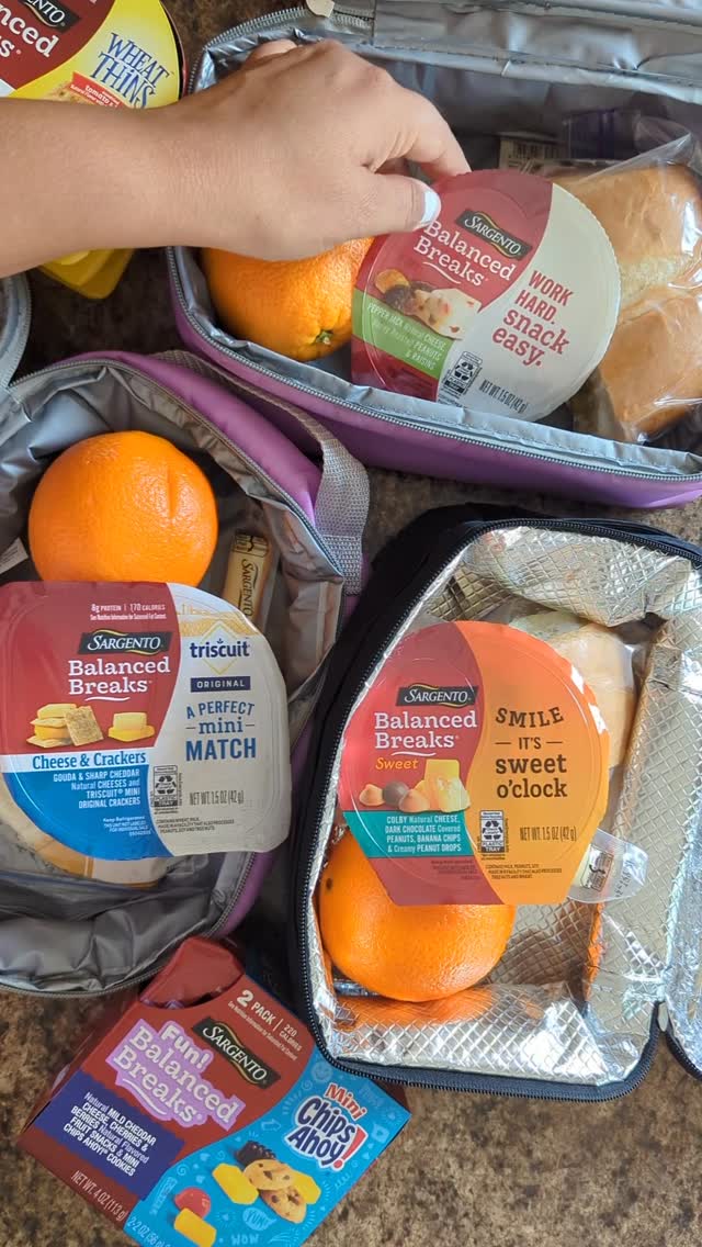 Instagram post by @anatovarnelson for Sargento. Caption reads: #SargentoPartner Whether it’s lunchboxes,....