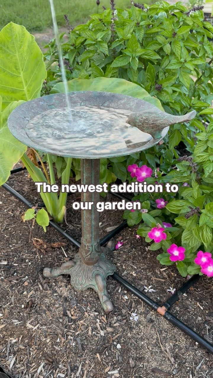 Instagram post by @svhomegrown for apogeeagency. Caption reads: It looks like an antique, but is brand new! We can....