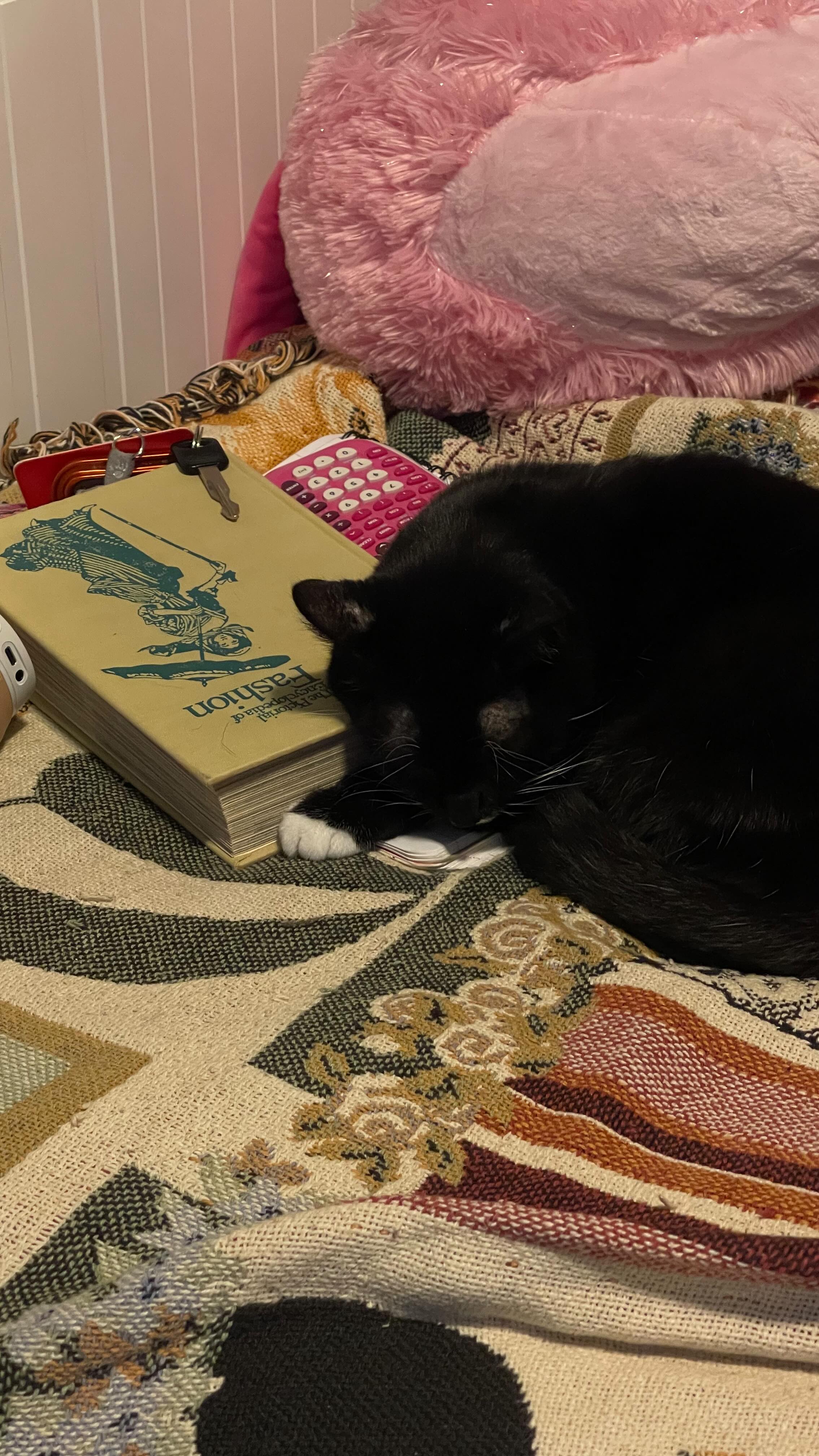 Instagram post by @kaitlynbauer_ for Chegg. Caption reads: How I relax and unwind, while still being....