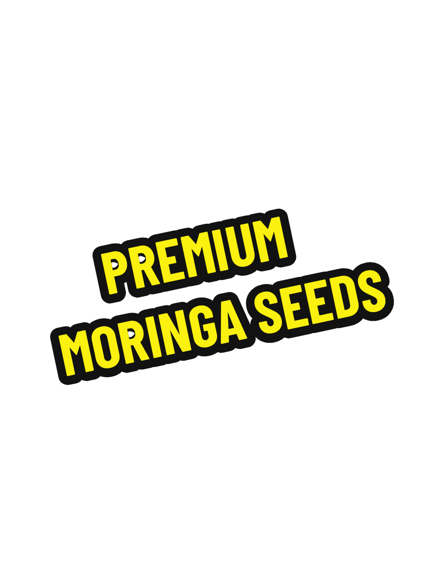 TikTok post by @anastasiathara3 for MoringawithBarry. Caption reads: [...] #healingbenefits #superfood....
