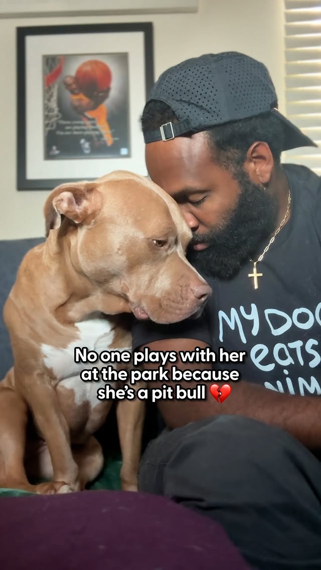 Instagram post by @aaronmichaellouis for The Dodo. Caption reads: People avoided his pittie at the park — so Dad....