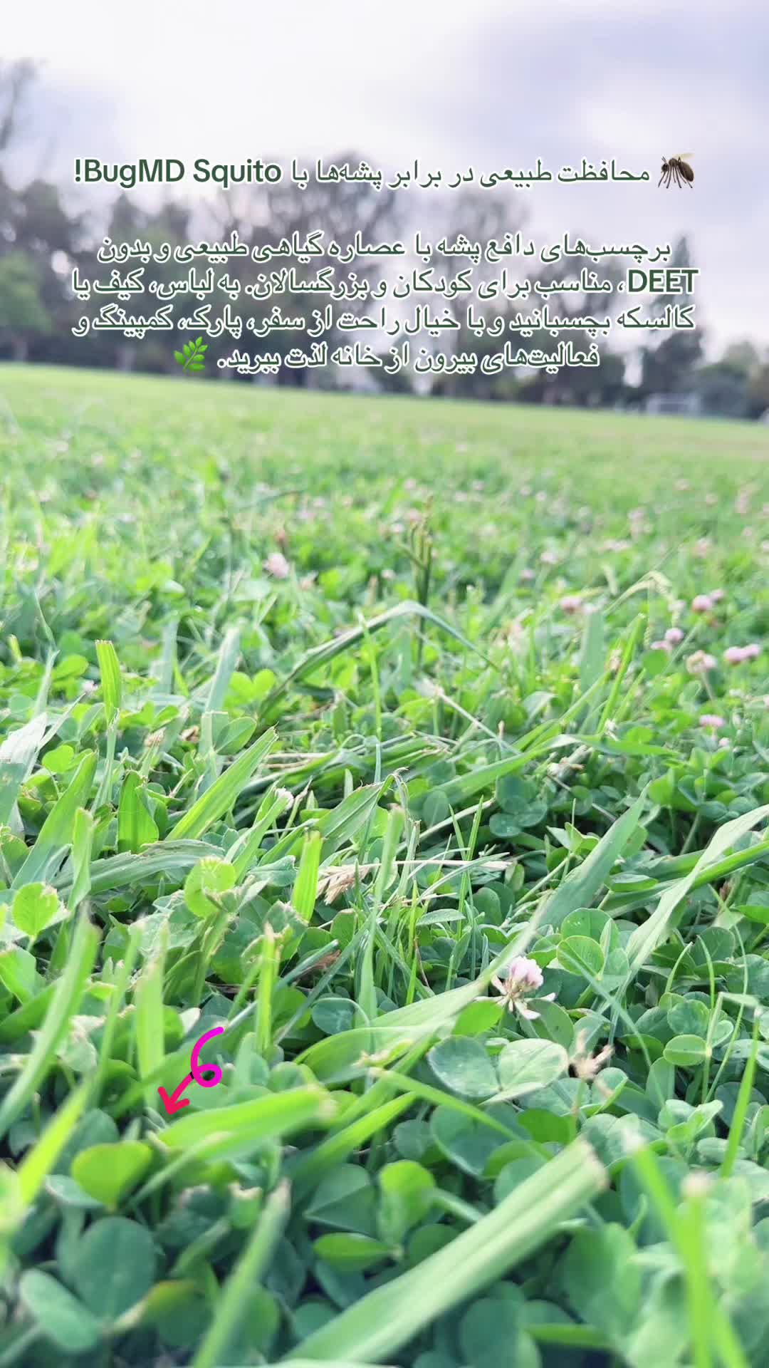 TikTok post by @muzh77 for BugMD. Caption reads: BugMD Squito Stickers Mosquito Repellent [...].