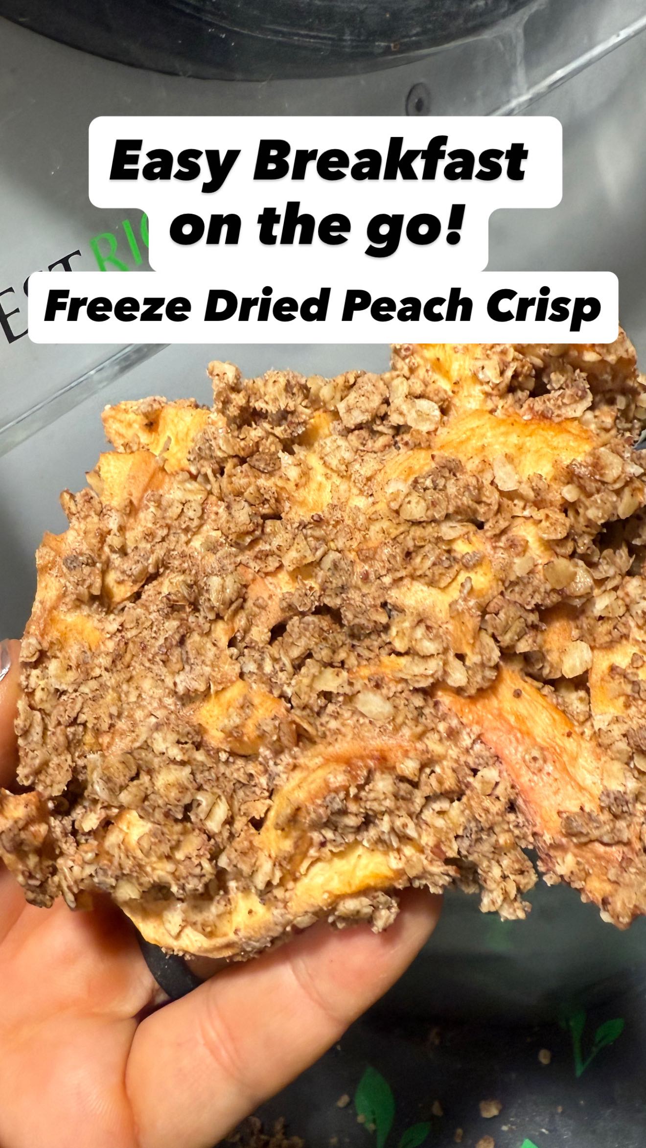 Instagram post by @gooseberrybridgefarm for Wallaby Goods. Caption reads: Freeze dried foods are versatile and light weight....