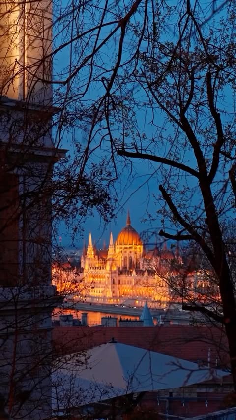 Instagram post by @filmsbymaks for Radisson. Caption reads: Staying at the @radissonhotelbudapart puts you in....