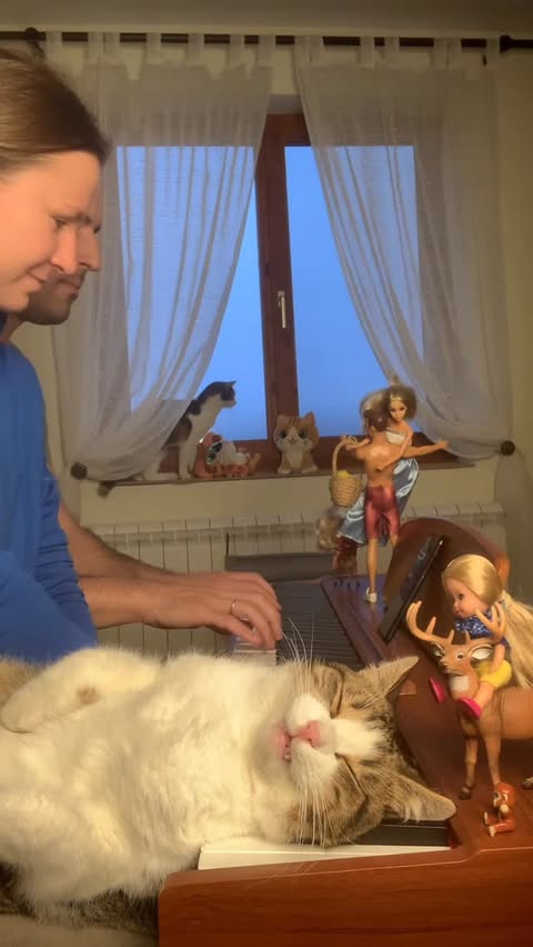 Instagram post by @pianists_mariana.dimcho for DonnerMusic. Caption reads: The muppet show theme with Zlatko and Bambilla on....