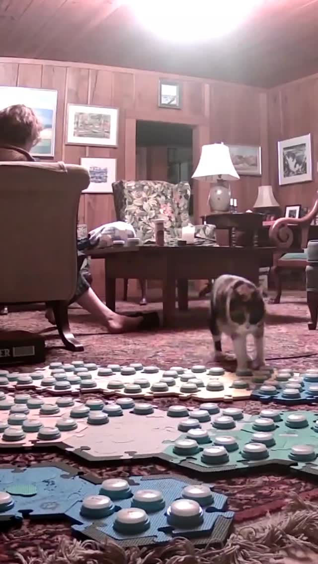 Instagram post by @elsiewants for FluentPet. Caption reads: The book is CHILDREN OF TIME by Adrian....