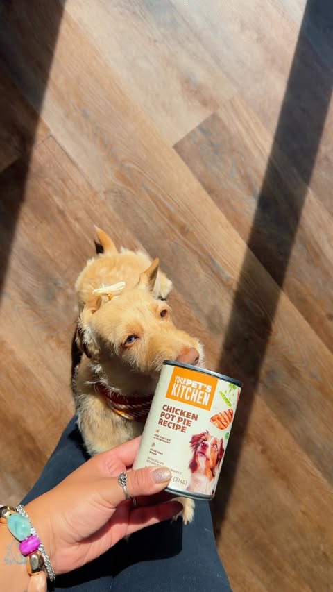 Instagram post by @gucci.the.wiener for Pawjourr. Caption reads: [...] a win-win🐶🤎 @yourpetskitchenpetfood....