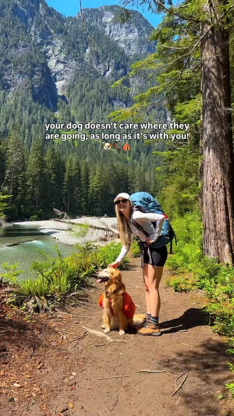 Instagram post by @yakeandmarie for ORIJEN Petfoods. Caption reads: We brought Rosie on a 20KM backpacking trip to....