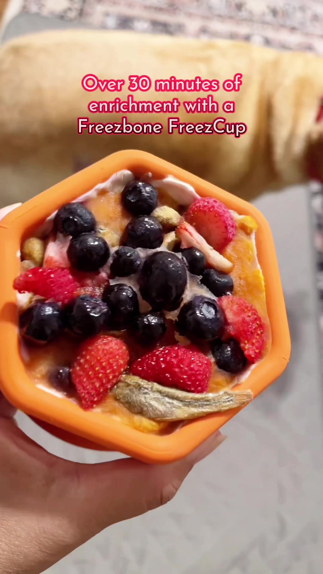 TikTok post by @charliethelabrador23 for Freezbone. Caption reads: Freezbone FreezCup holds about one and half cup....