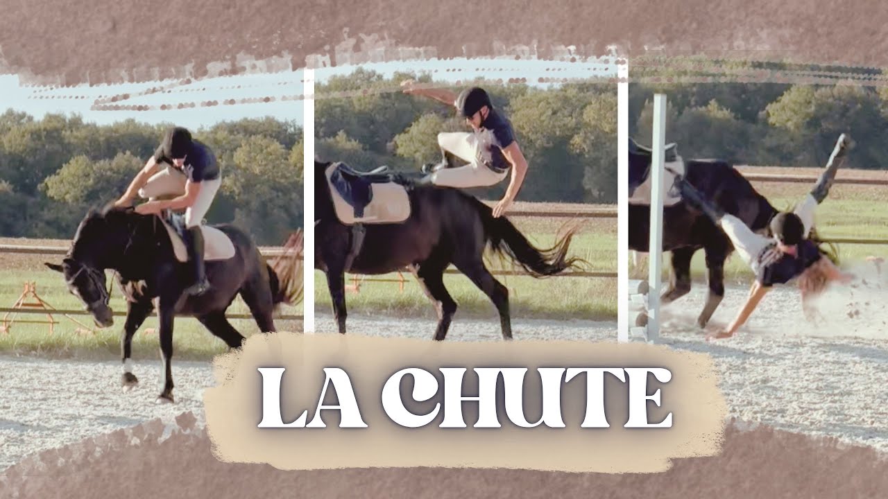 YouTube post by @ReveCompulsif for Les Petits Culottés. Caption reads: IT COULD HAVE ENDED BADLY..